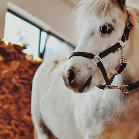 Appartement Lawendowe Rancho