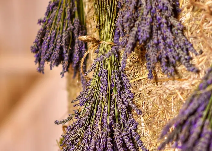 Lawendowe Rancho アパート *